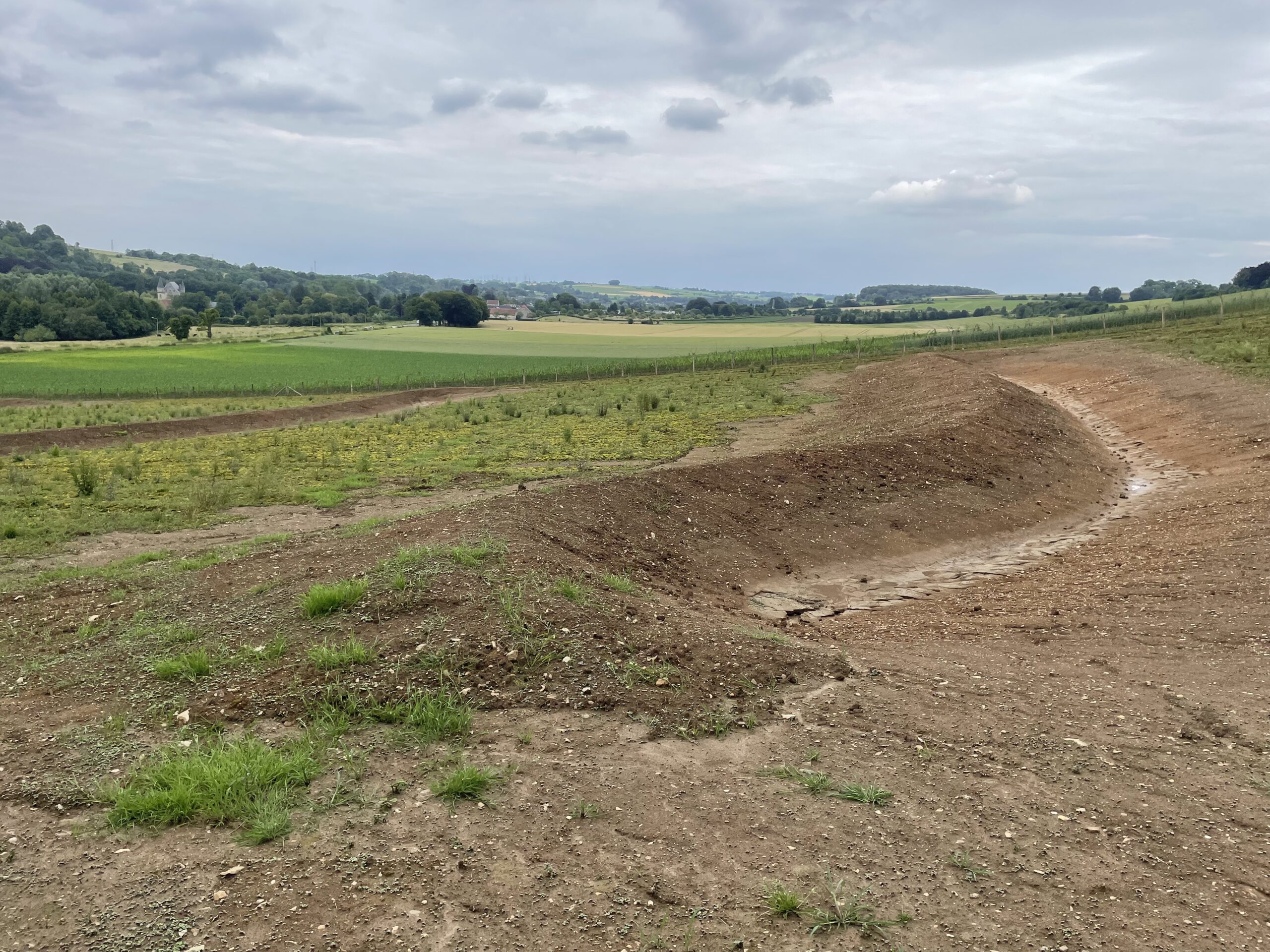 swales to prevent runoff and mitigate floods and drought