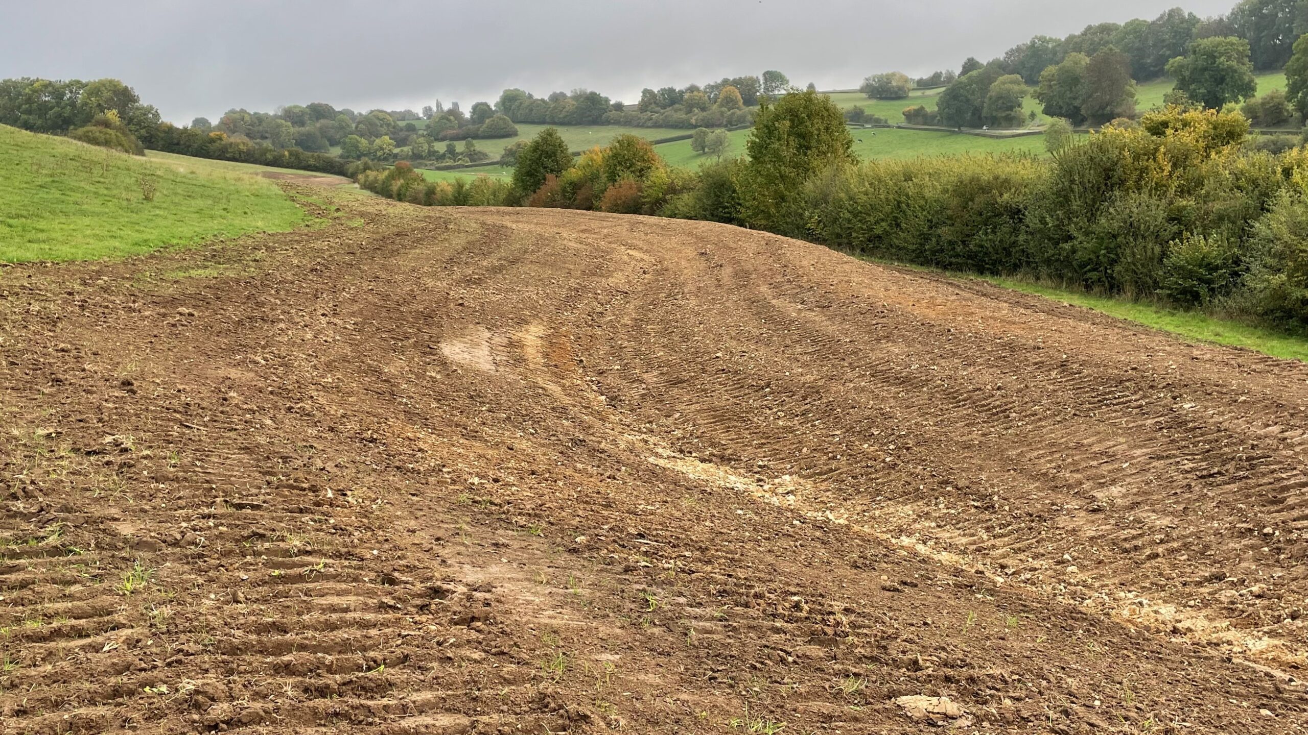 swale runoff drought and flood prevention