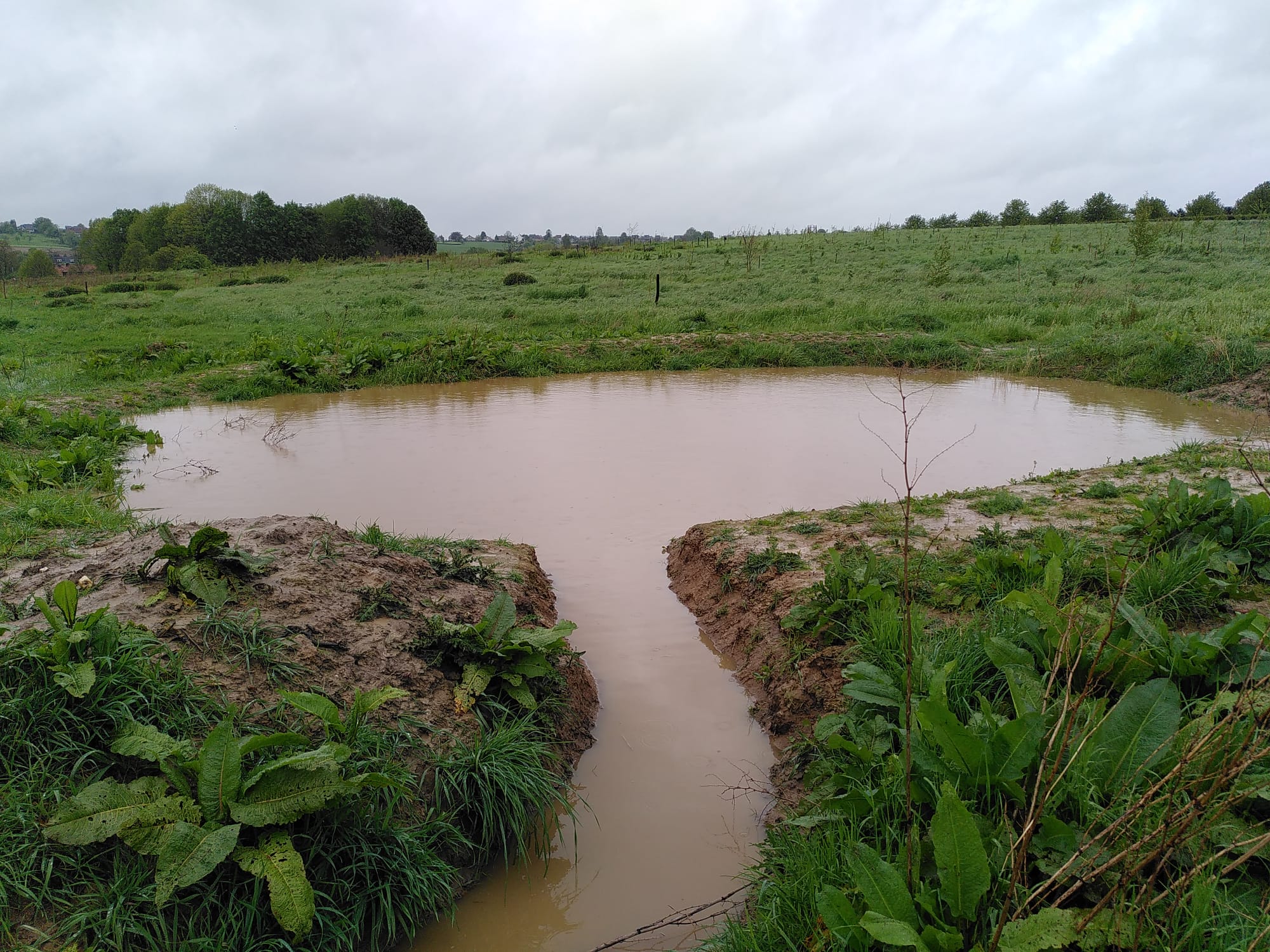 Rainwater retention pond after a rainstorm
