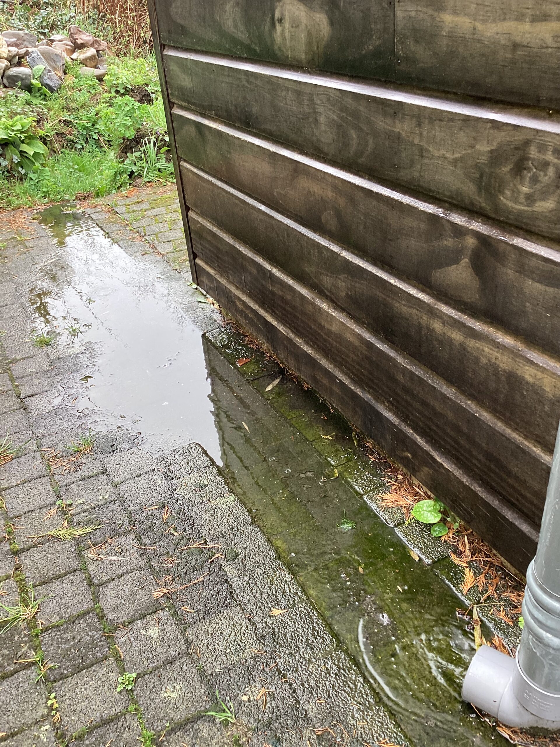 rainwater collection from roof to pond