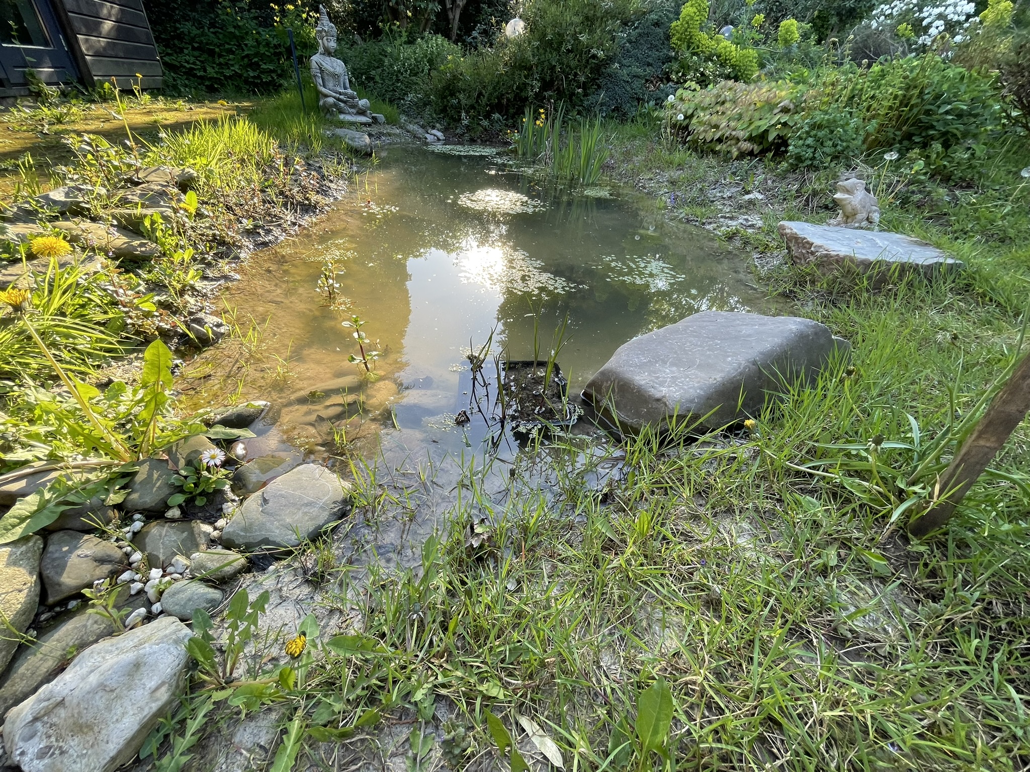 natural pond with clay liner and buddha