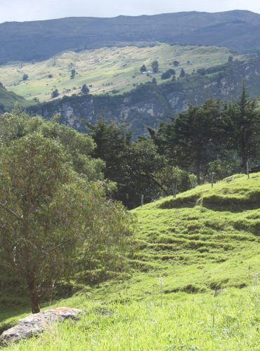 Analysis of risks and possible Nature-based Solutions